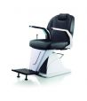 BM88009 Sillón Profesional 
